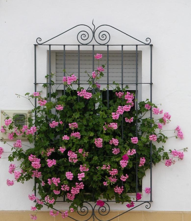 La Casa De Angela Almodovar del Rio Exterior foto